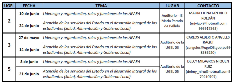 APAFA PROGRAMACION